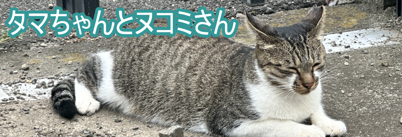 トップ画像